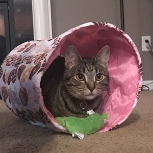 Meet your Posher, Jenny